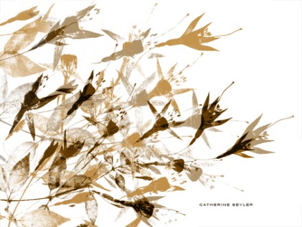Catherine Beyler 10