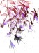 Catherine Beyler 7