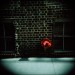 Dusan Martincek - NYC 6
