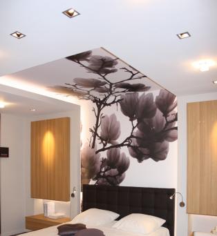 Printed ceilings