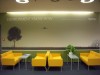 Acoustic walls 